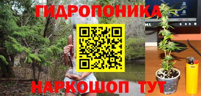 apvp Кунгур