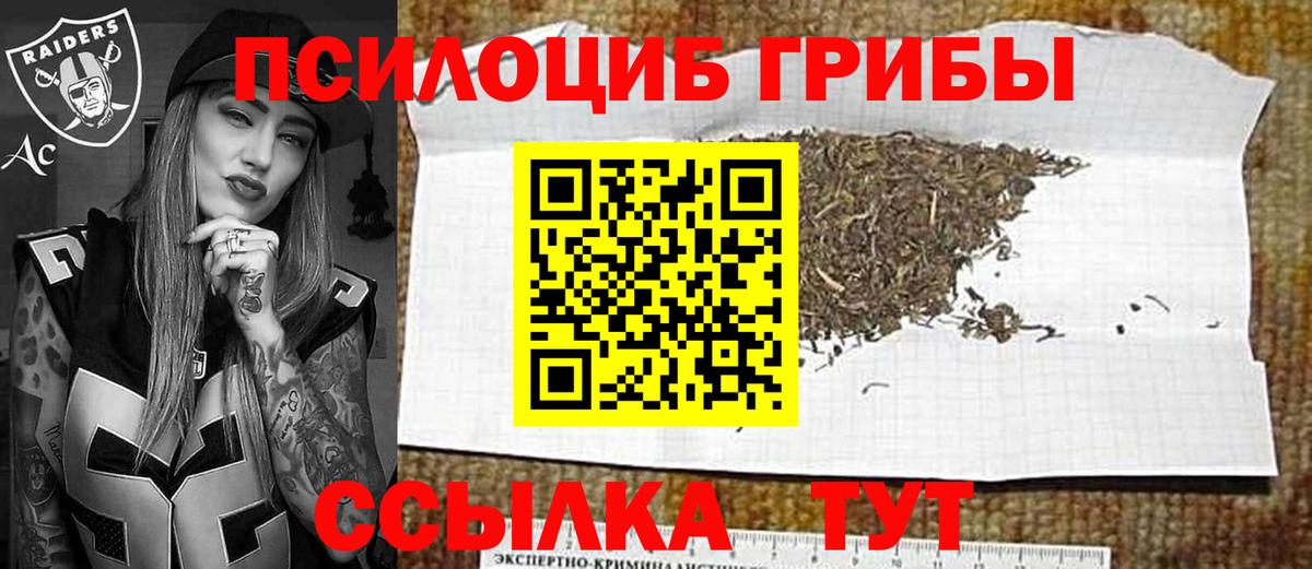 Галлюциногенные грибы MAGIC MUSHROOMS  Вход с VPN  Усть-Илимск 
